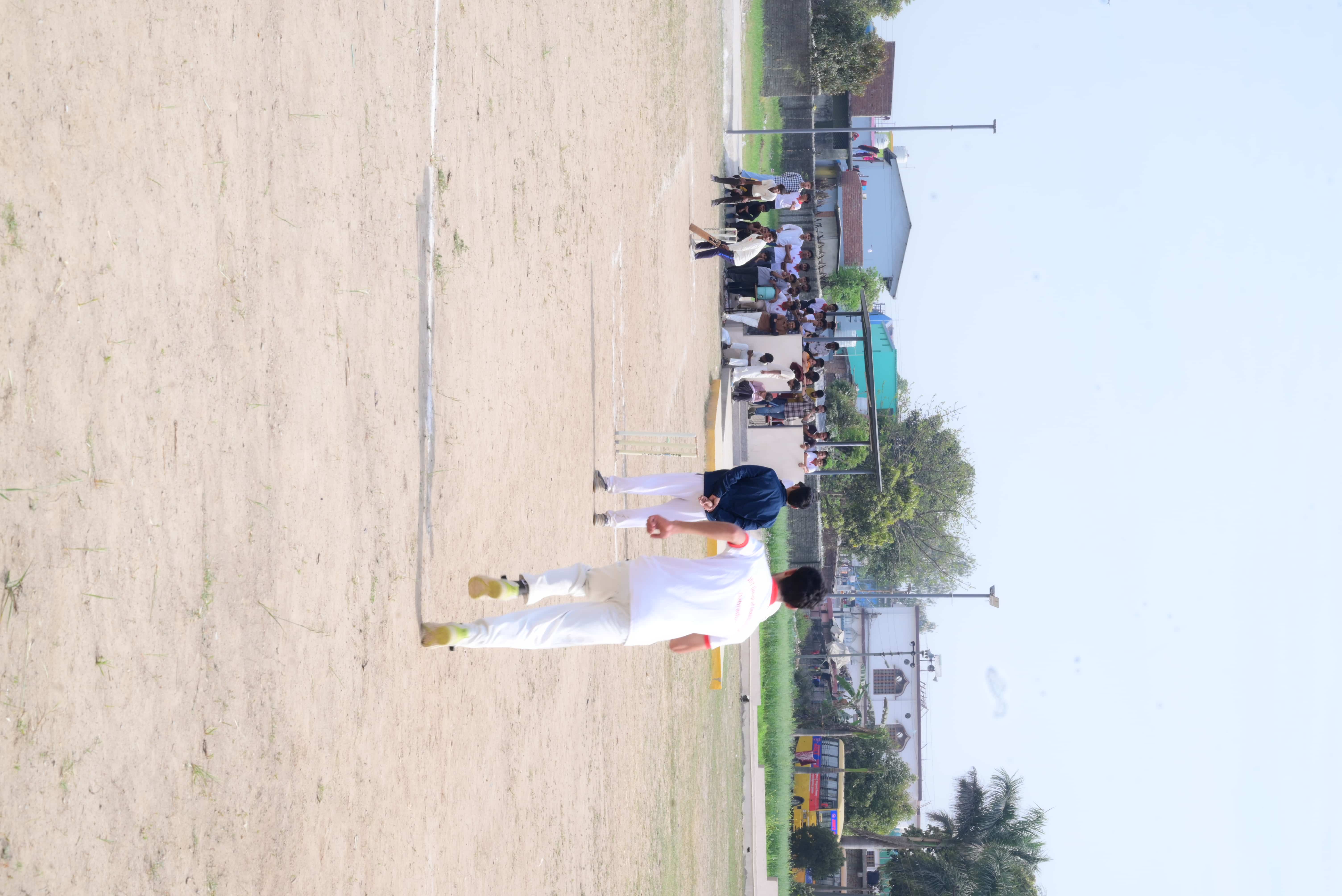 Cricket